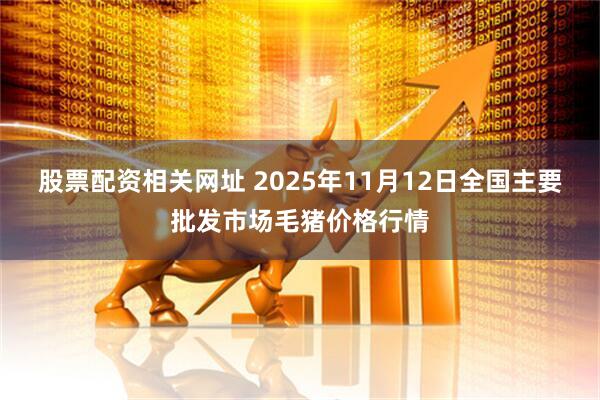 股票配资相关网址 2025年11月12日全国主要批发市场毛猪价格行情