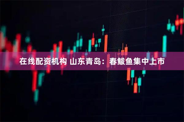 在线配资机构 山东青岛：春鲅鱼集中上市